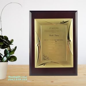 Bảng Vinh Danh - VD13