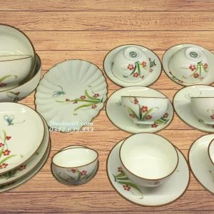 Bộ đồ ăn vẽ Chuồn cỏ men kem