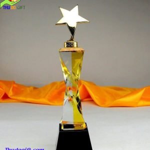 Cúp Vinh Danh Thủ Đô - CVT04
