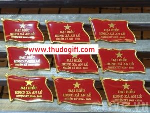 dịch vụ phù hiệu đại hội chi bộ