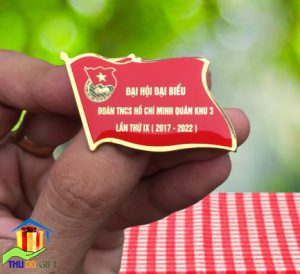 Phù hiệu đại hội - Phù hiệu lá cờ