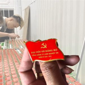Nơi sản xuất phù hiệu tại Hải Phòng