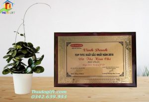 Bảng Vinh danh gỗ đồng giá rẻ tại Hà Nội. In ấn theo yêu cầu