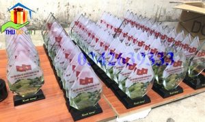 Biểu trưng pha lê giá rẻ