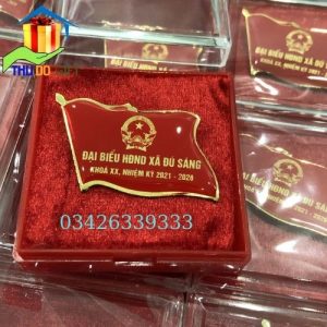 Mẫu phù hiệu đại biểu HĐND xã Đú Sáng