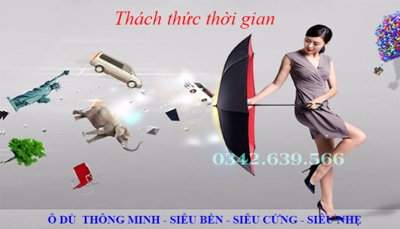 Thủ Đô Gift